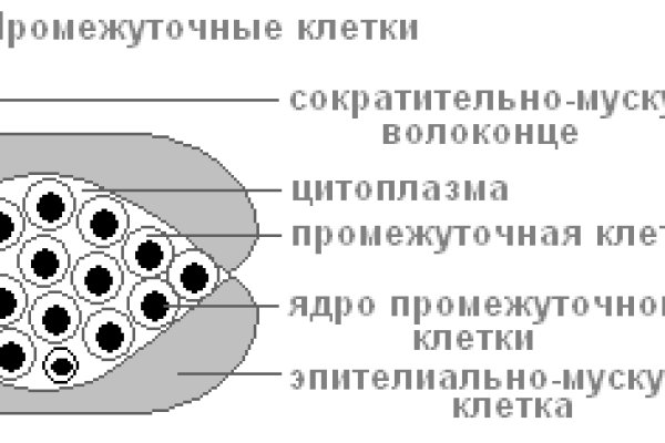 Ссылка для входа на сайт kraken