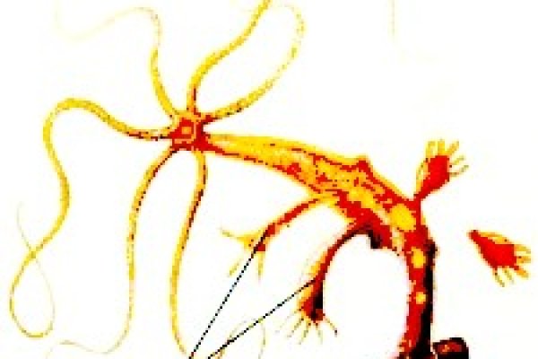 Kraken сайт магазин