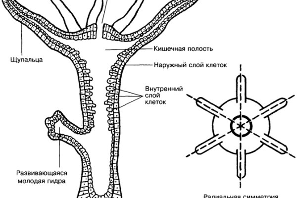 Кракен магазин kraken014 com