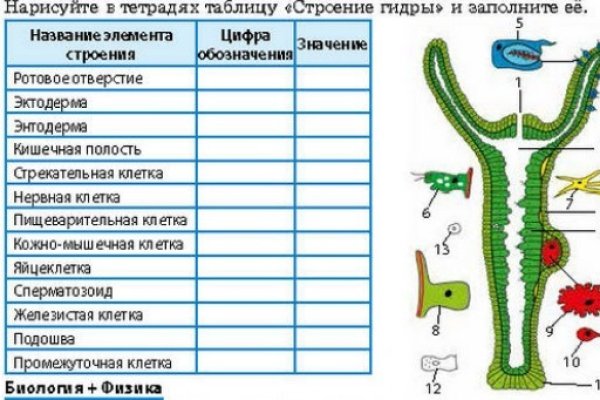 Что такое кракен маркет торкнет